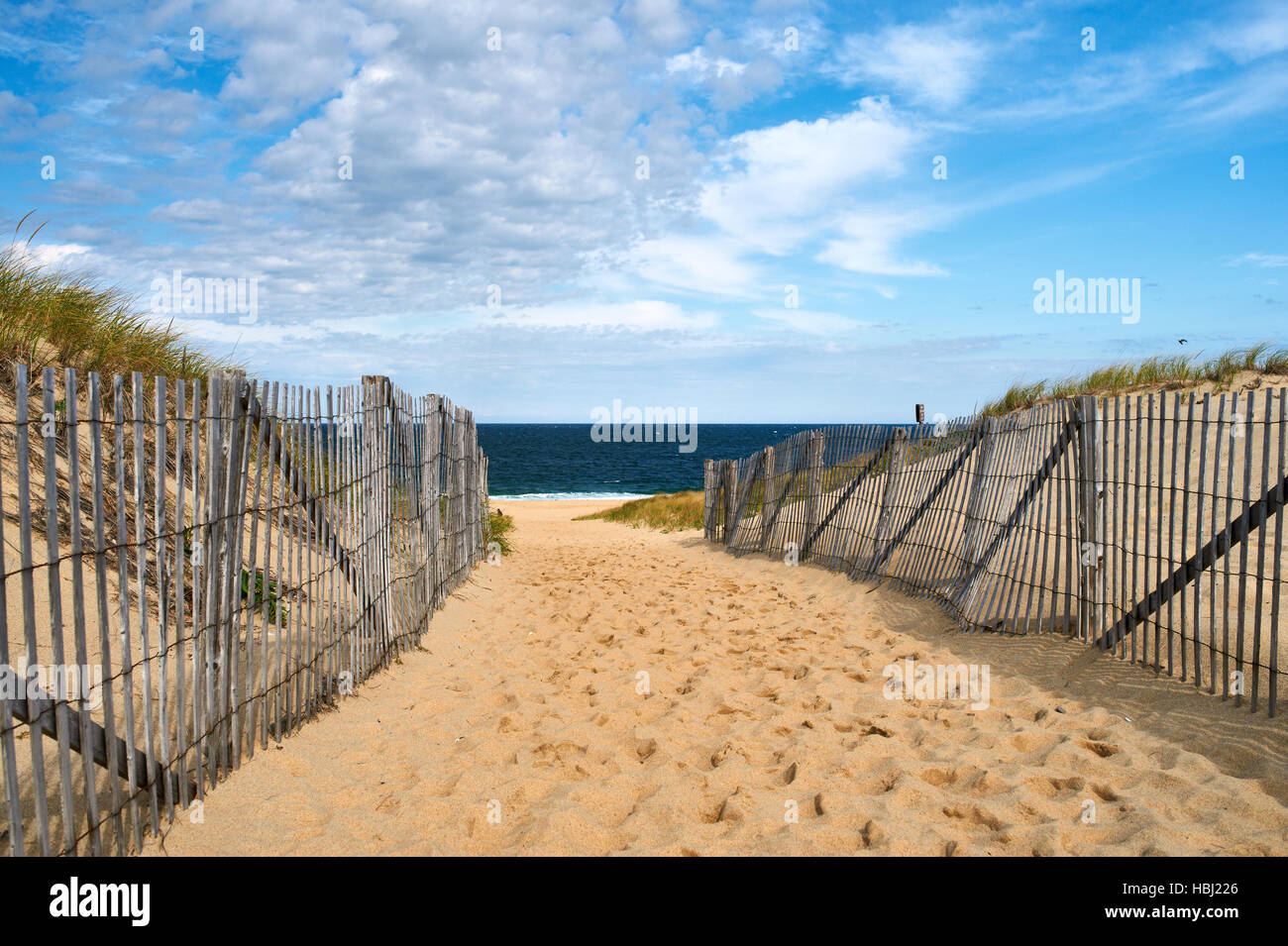 Path way to the beach at Cape Cod Stock Photo - Alamy