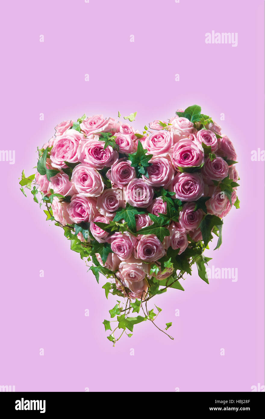 heart of roses Stock Photo