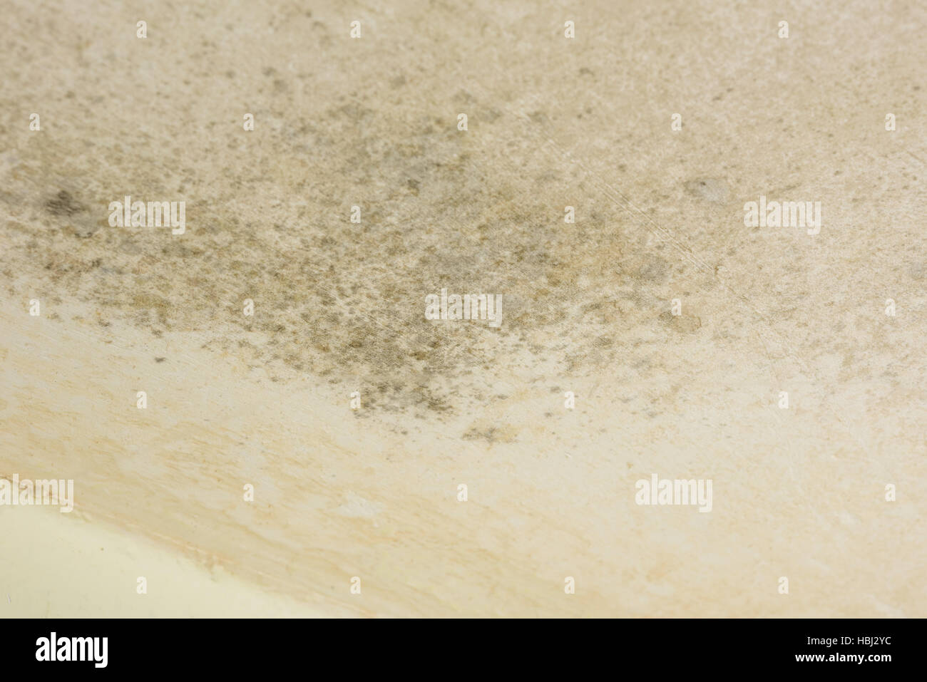 Wall cover with mould Stock Photo