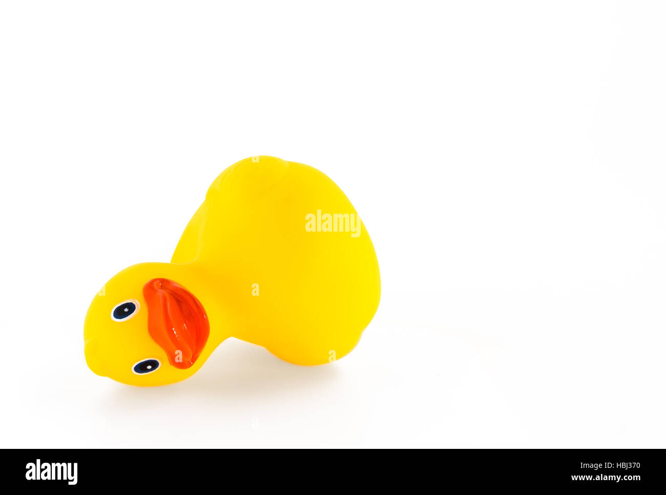 Fallen ducky Stock Photo