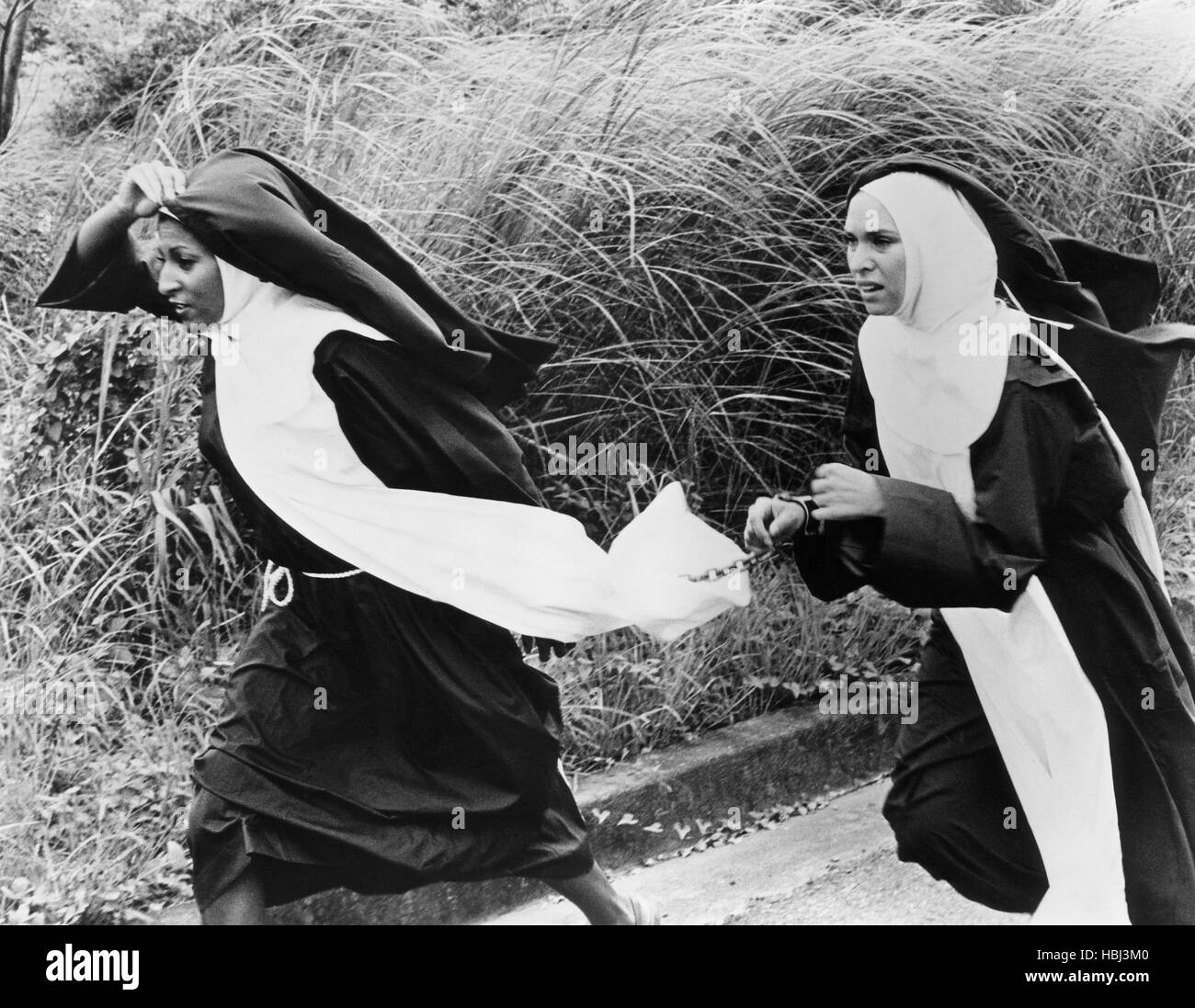 Black Mama White Mama Pam Grier Margaret Markov 1972 Stock Photo Black Mama White Mama Pam Grier Margaret Markov 1972 Stock Photo