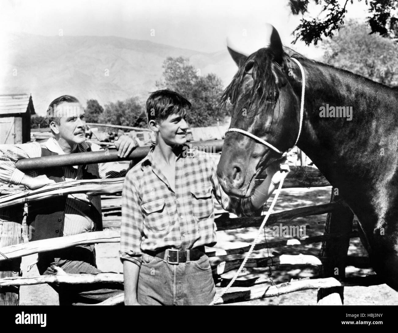 BLACK MIDNIGHT, from left: Damian O'Flynn, Roddy McDowall, 1949 Stock ...