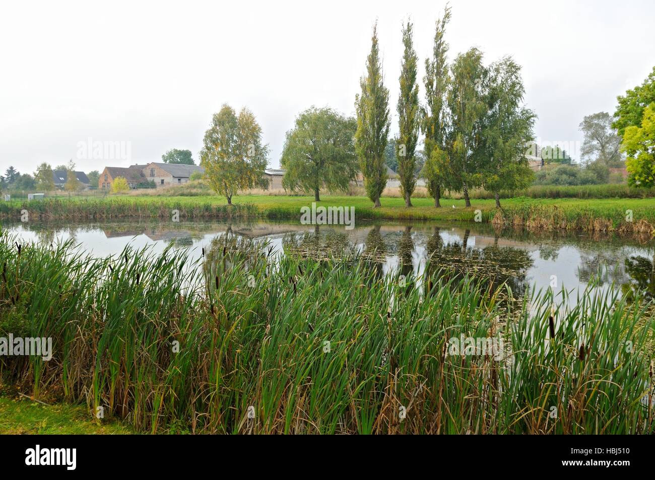 Former fire water pond hires stock photography and images Alamy