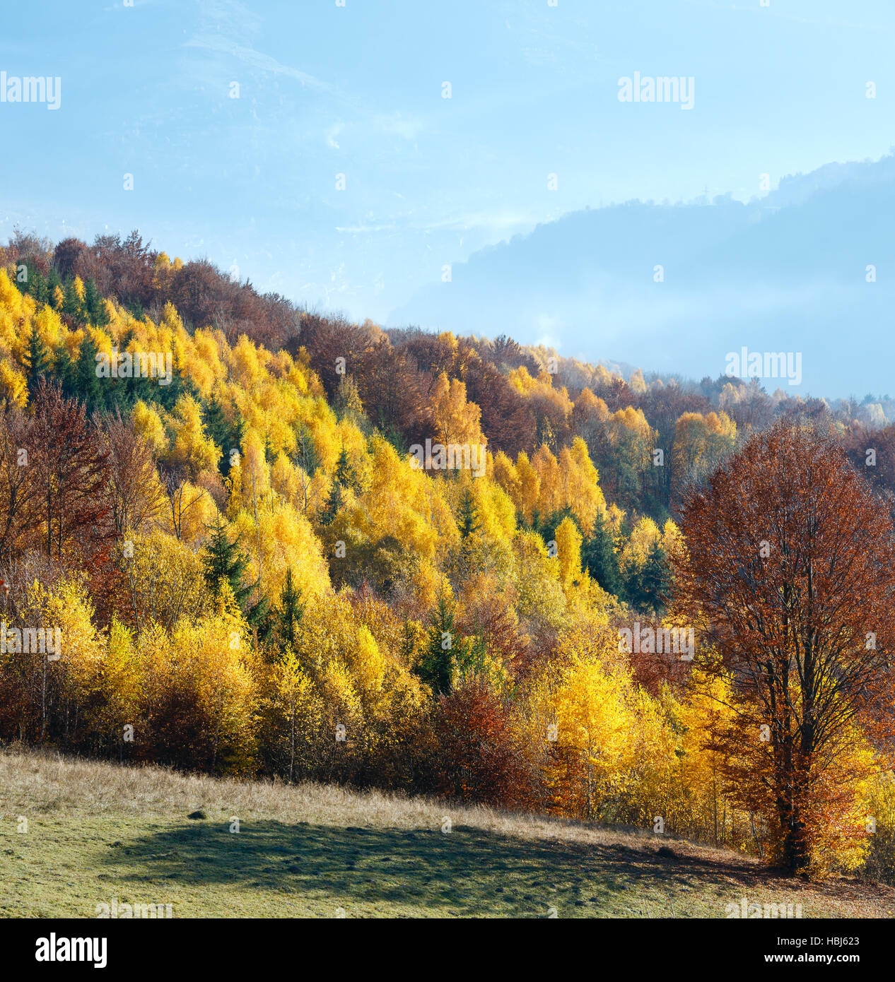 Golden autumn in mountain Stock Photo - Alamy