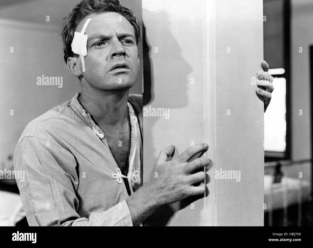BRIGHT VICTORY, Arthur Kennedy, 1951 Stock Photo Alamy