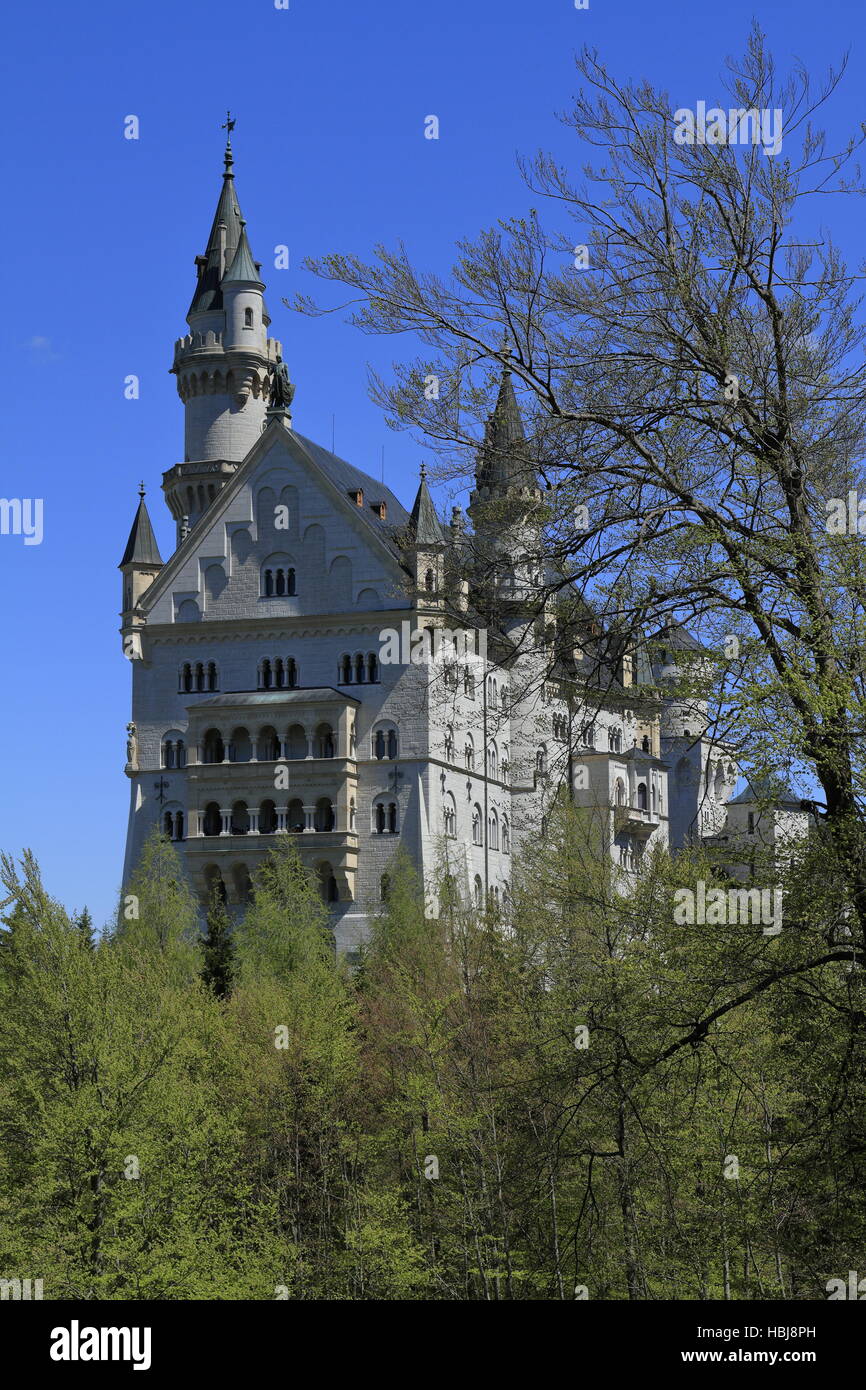 Neuschwanstein Castle in the Bavarian Alps Stock Photo Alamy