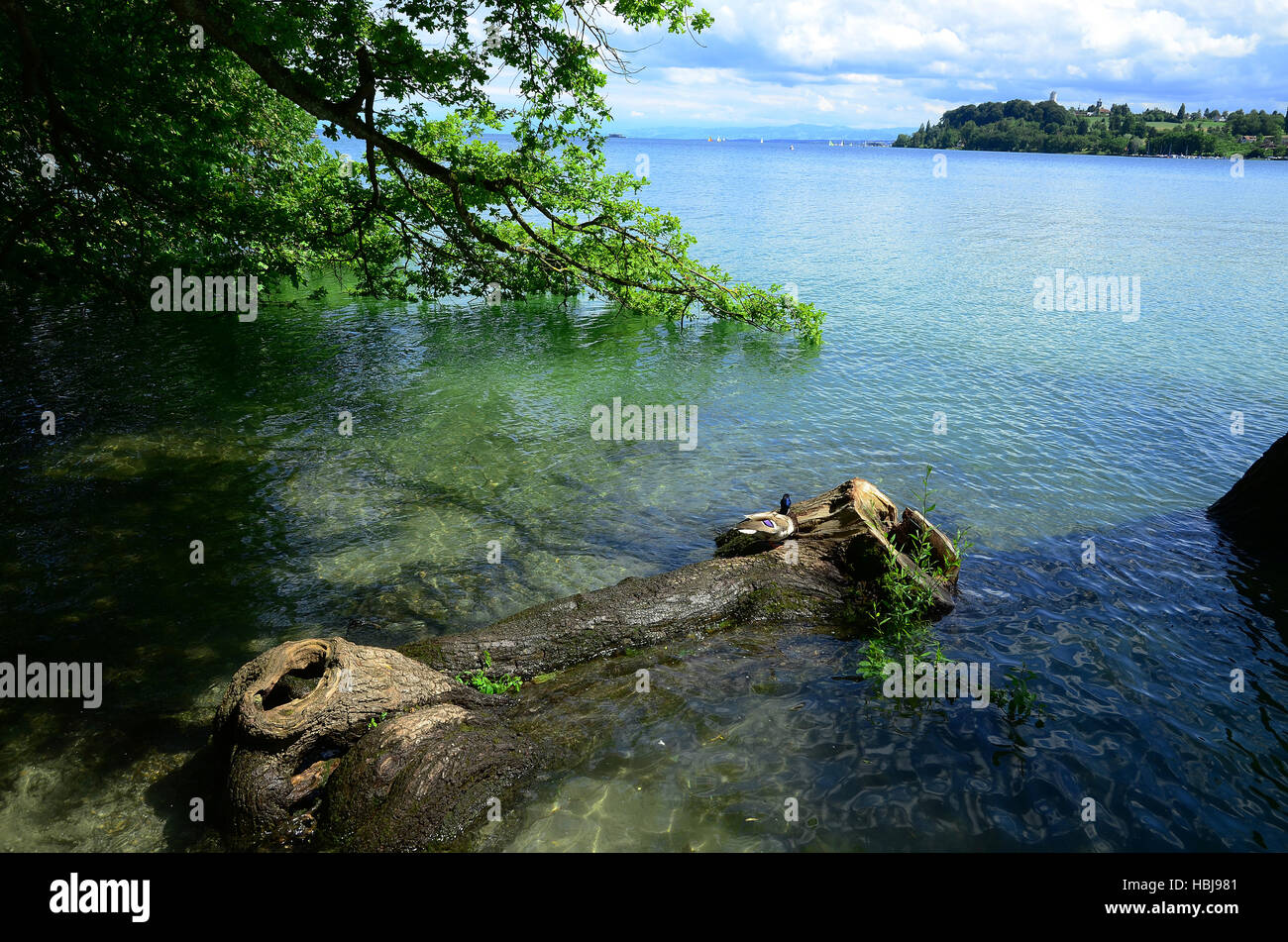 Lake Constance, Germany, Stock Photo
