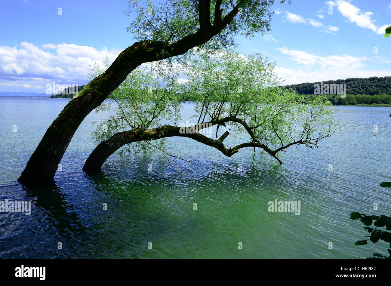 Lake Constance, Germany Stock Photo Alamy