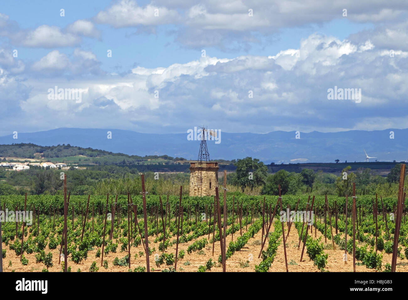 Wine-growing region in southern France Stock Photo