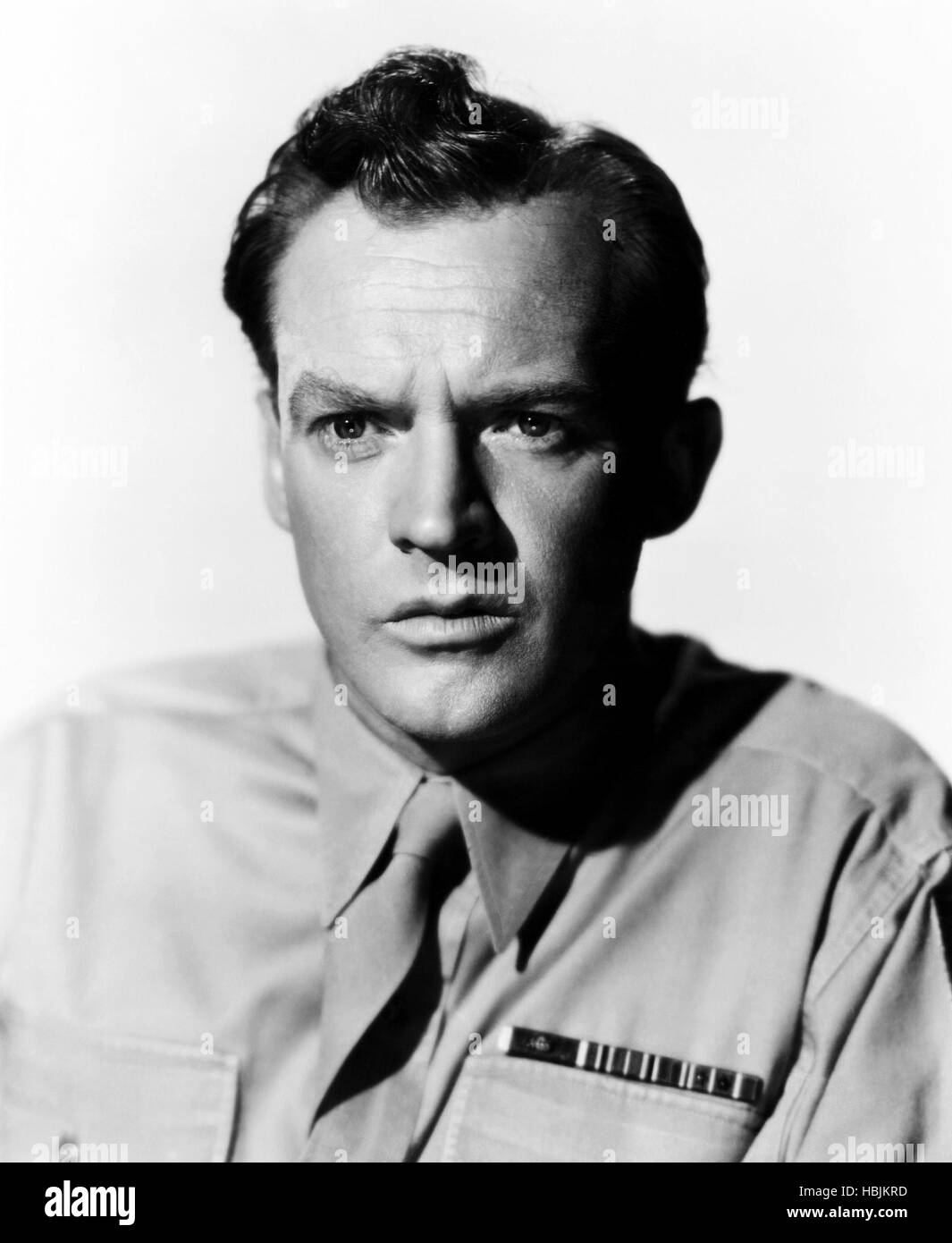 BRIGHT VICTORY, Arthur Kennedy, 1951 Stock Photo Alamy