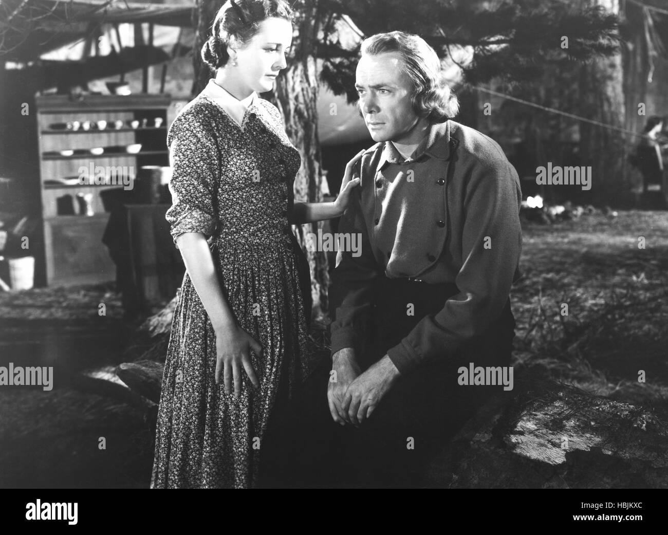 BRIGHAM YOUNG, from left: Mary Astor, Dean Jagger, 1940, TM & Copyright ©  20th Century Fox Film Corp./courtesy Everett Stock Photo - Alamy