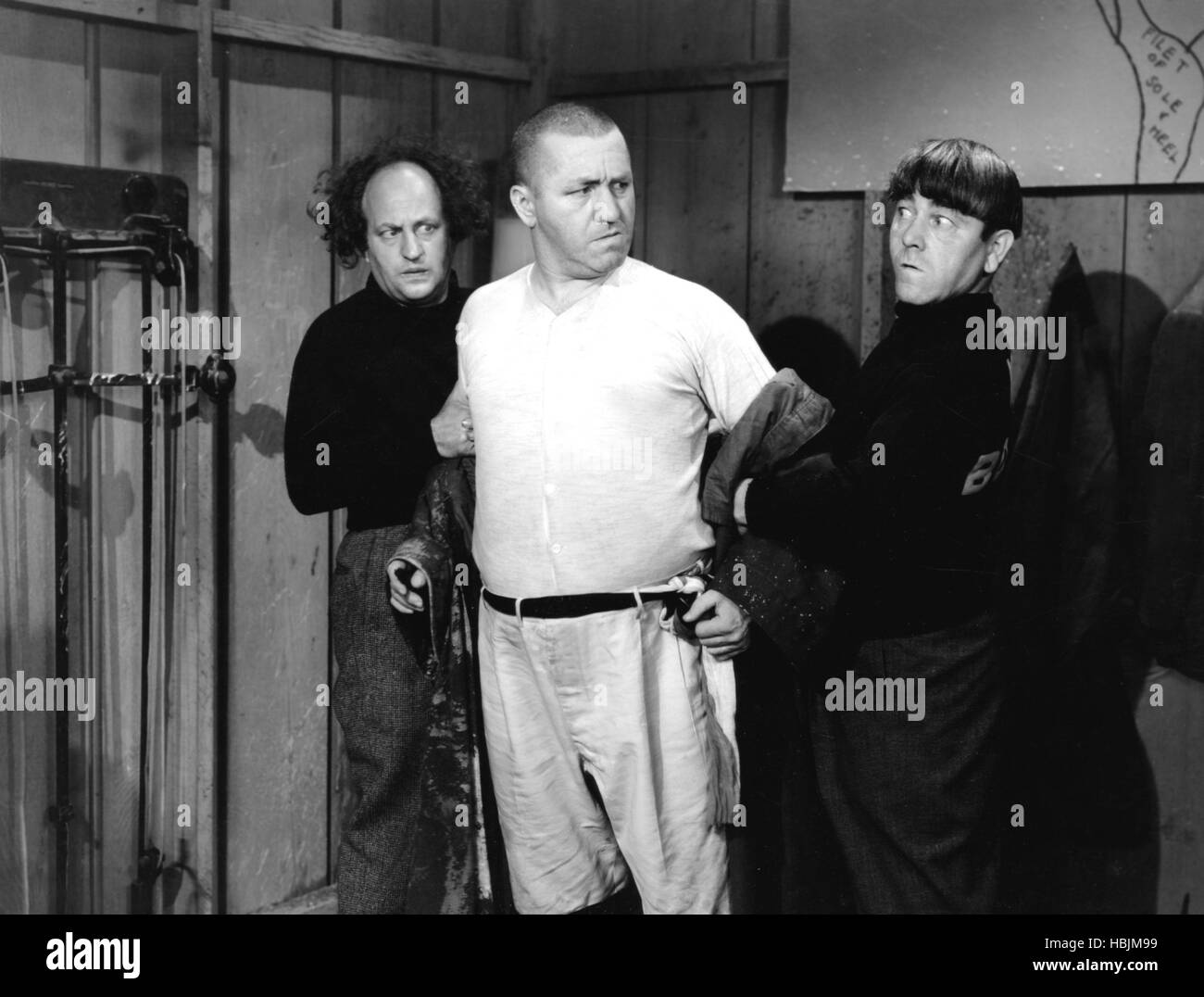 BUSY BUDDIES, Larry Fine, Curly Howard, Moe Howard (The Three Stooges ...