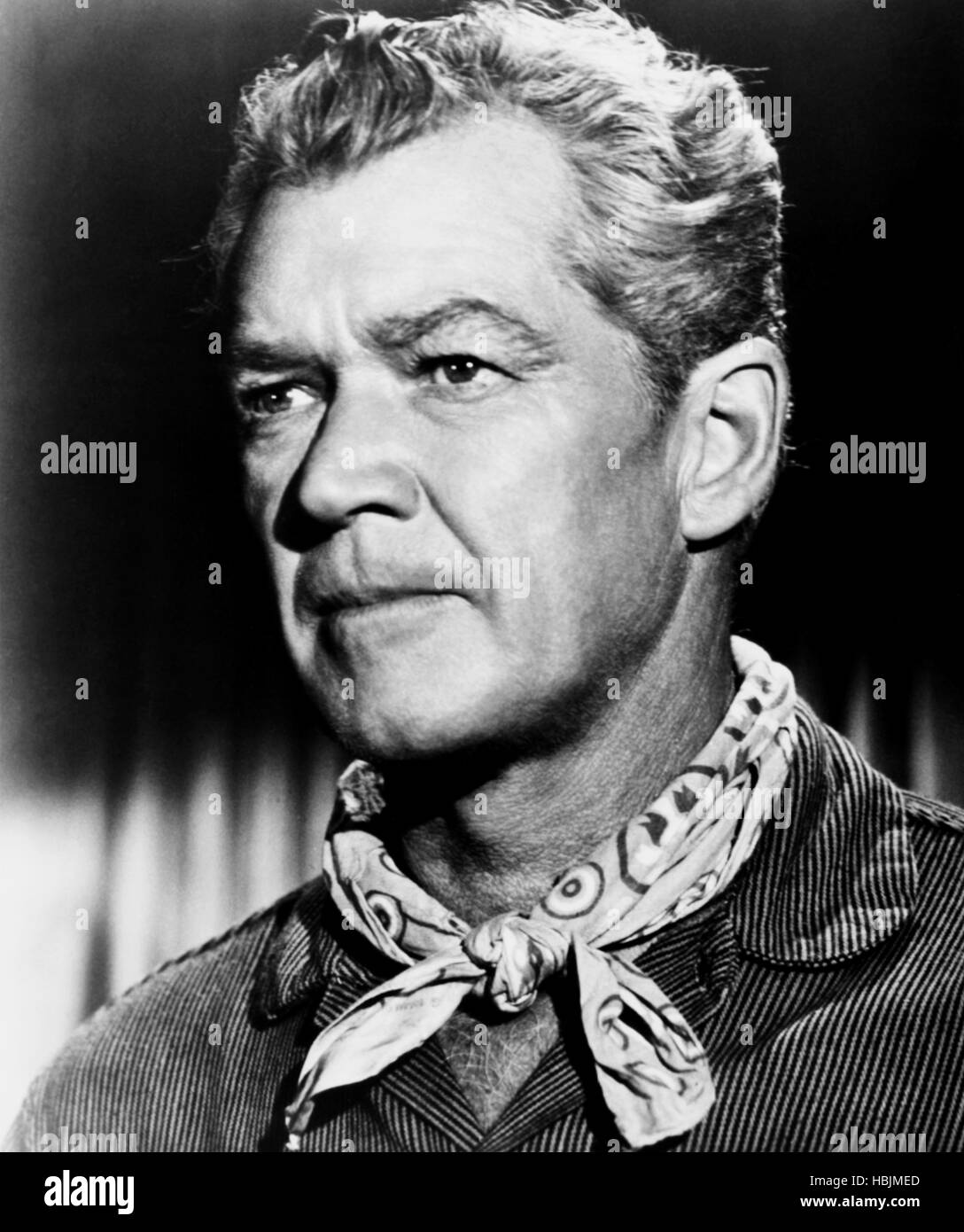 BUCKSKIN, Bill Williams, 1968 Stock Photo Alamy