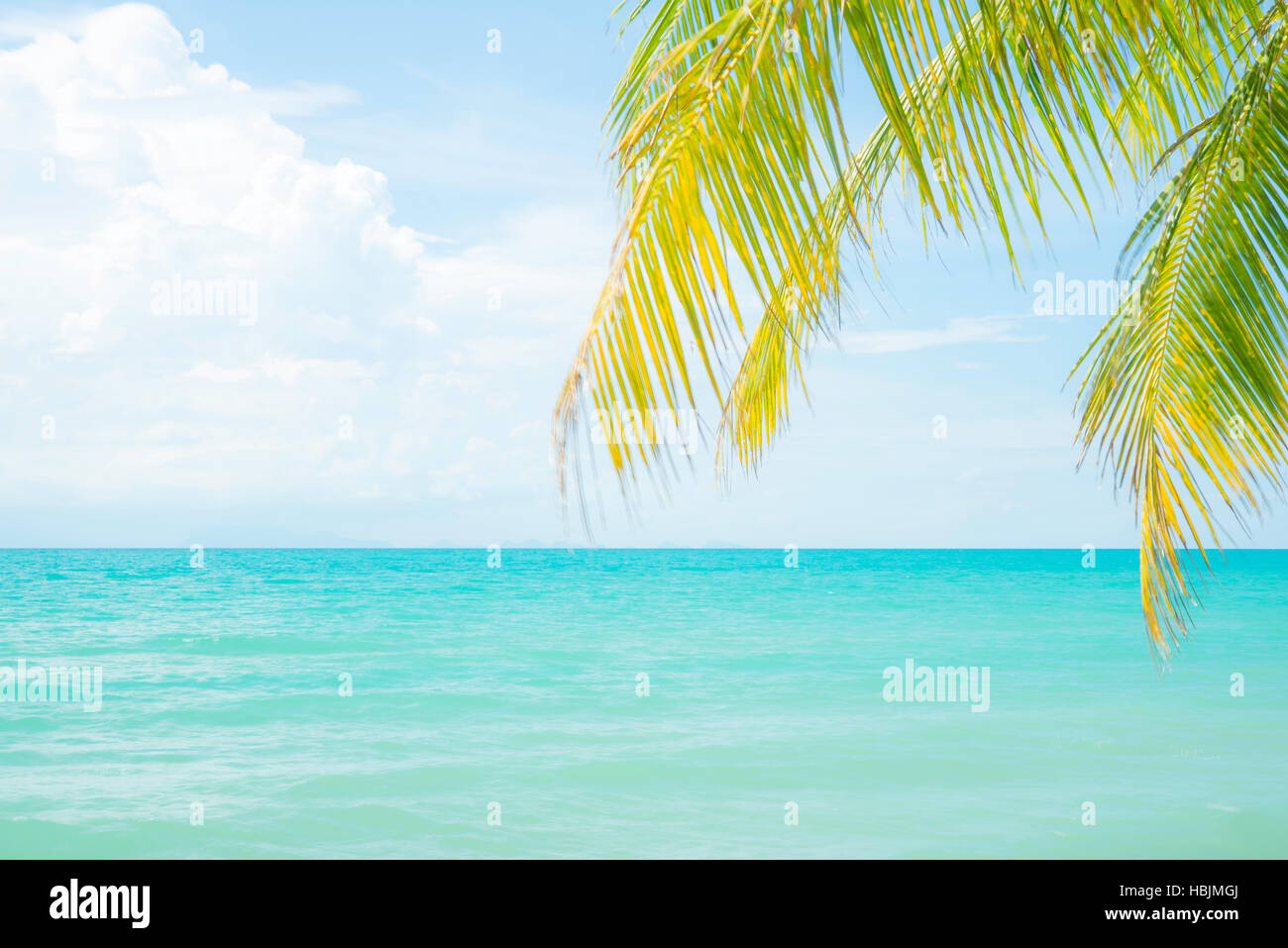 Beautiful, quiet and calm tropical seaside with blue sky and water. A coconut palm leaf can be seen by the edge. Stock Photo