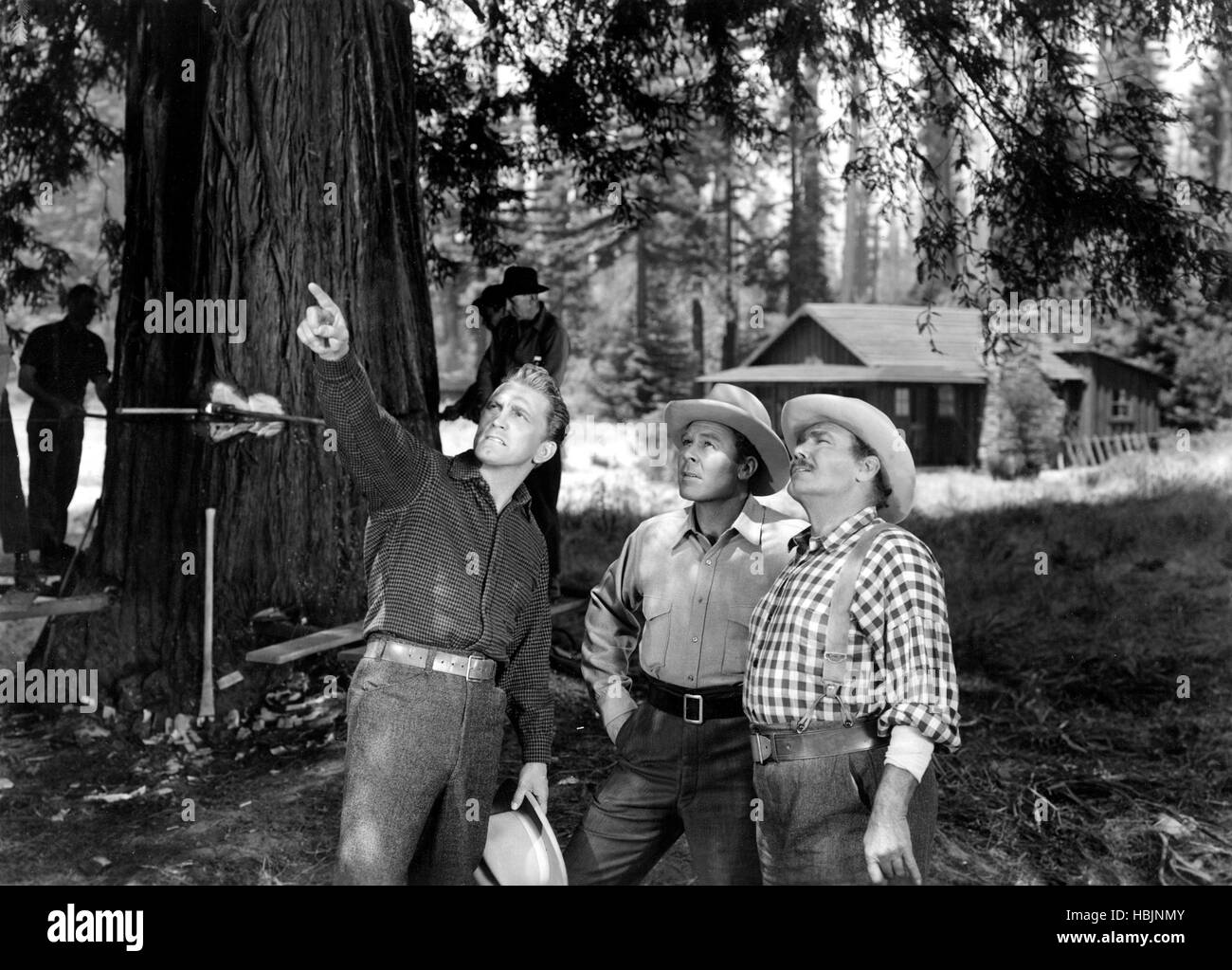 THE BIG TREES, Kirk Douglas, Roy Roberts, 1952 Stock Photo Alamy