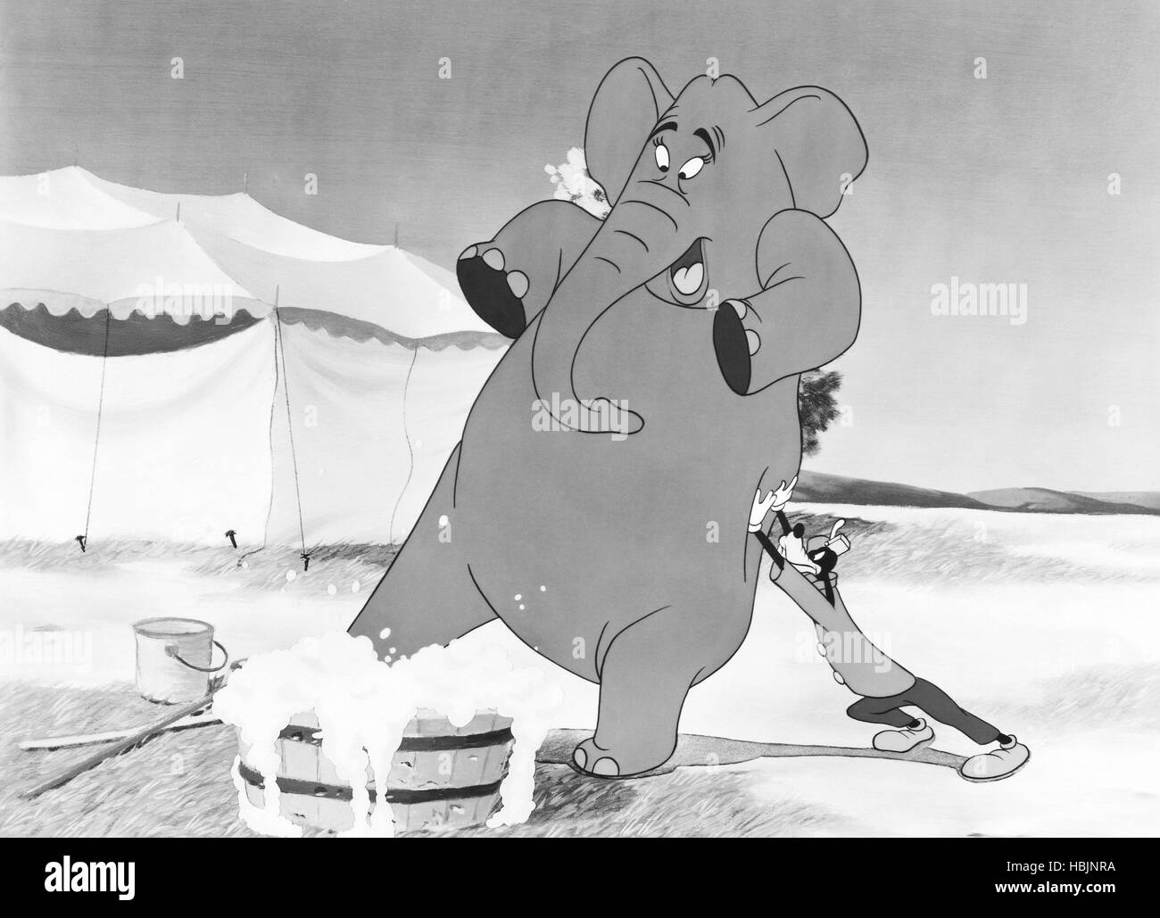 THE BIG WASH From Left Dolores The Elephant Goofy 1948 Stock Photo 