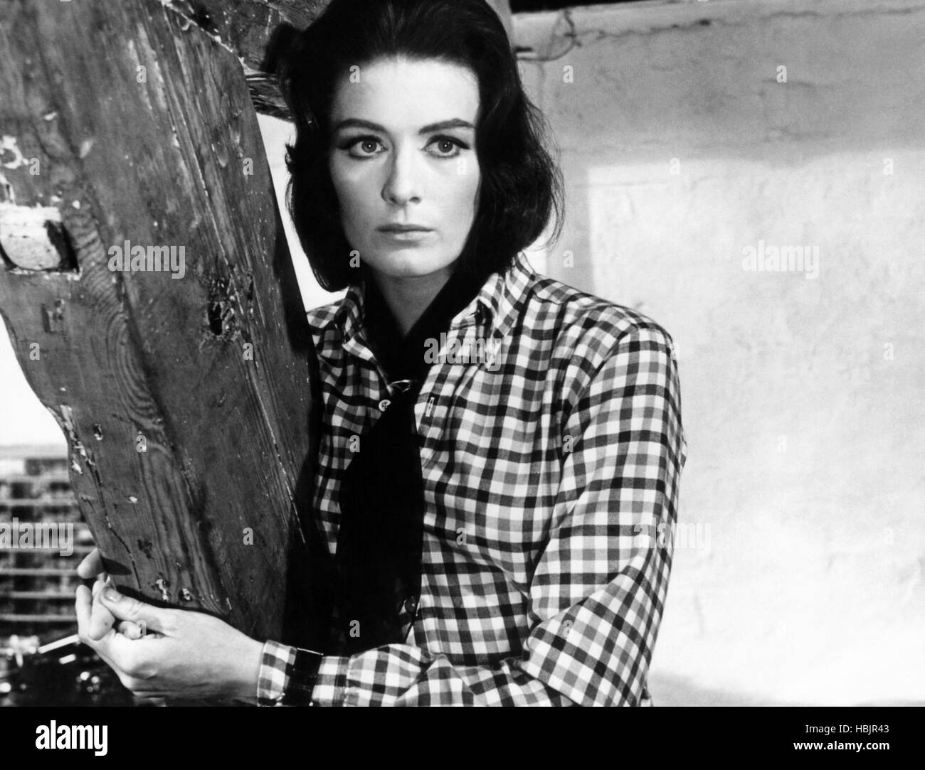 BLOWUP, Vanessa Redgrave, 1966 Stock Photo - Alamy