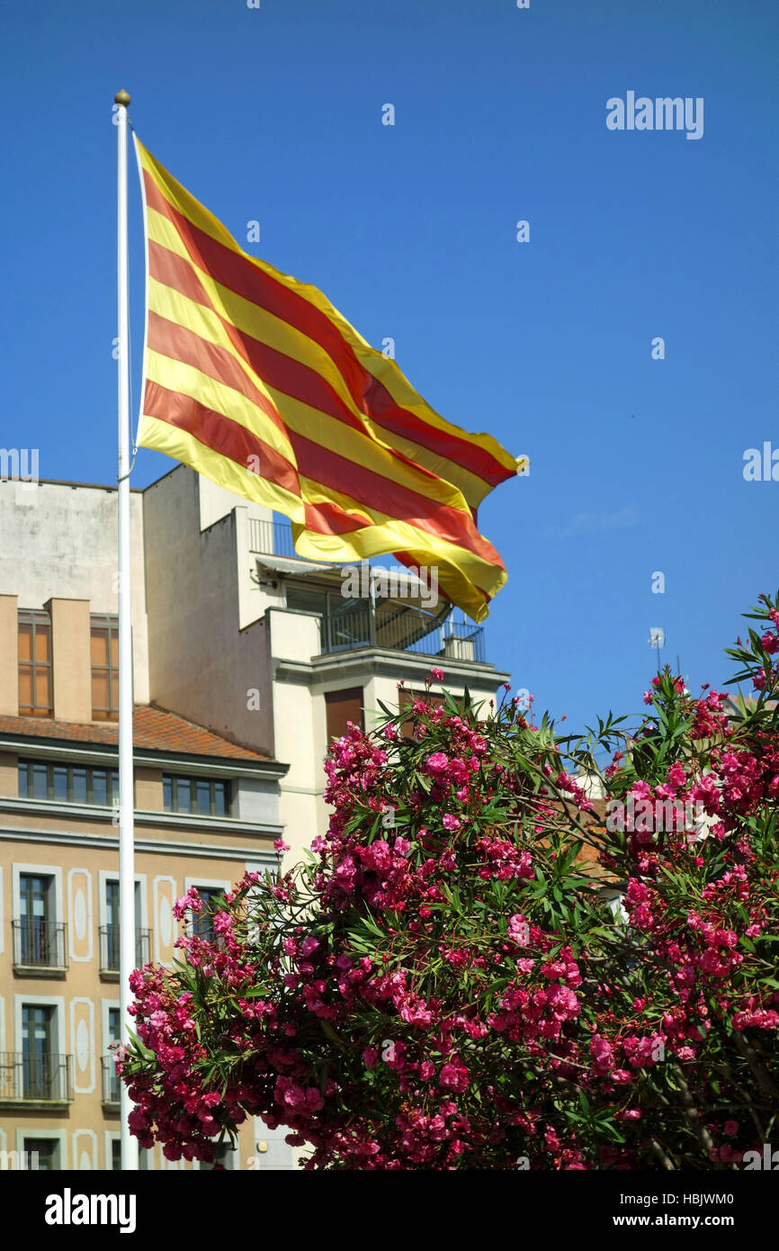 The flag of Catalonia in Girona Stock Photo