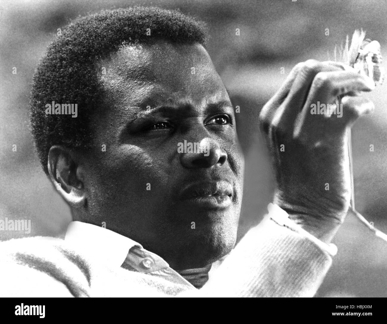 BROTHER JOHN, Sidney Poitier, 1971 Stock Photo Alamy