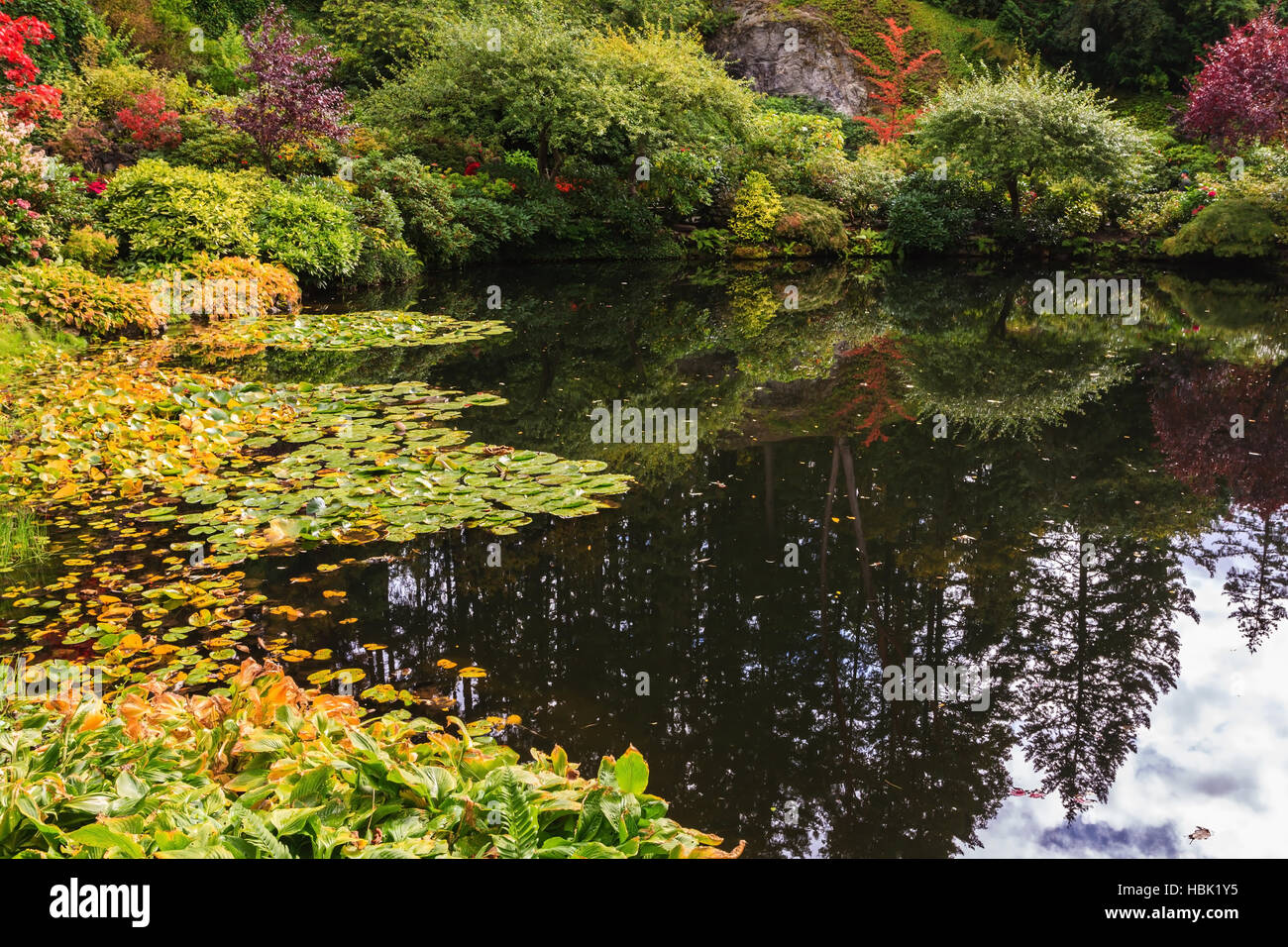 Quiet pond on Vancouver Island Stock Photo Alamy