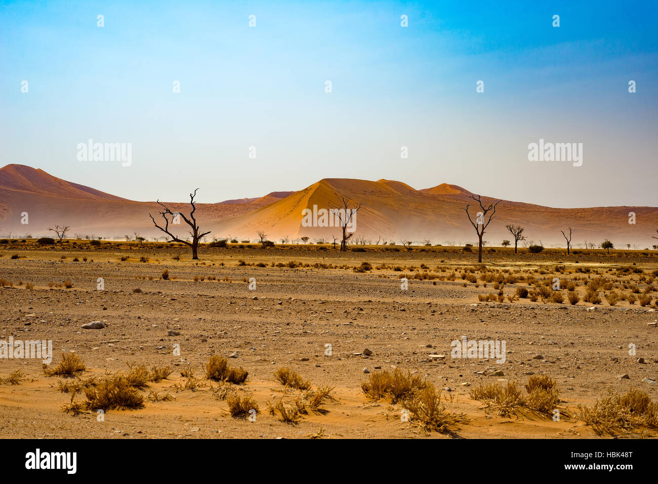 Namib desert fog hi-res stock photography and images - Alamy