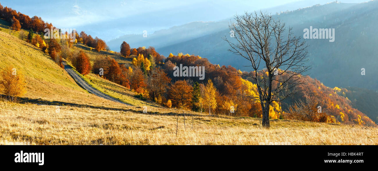 Rural road and golden autumn in mountain Stock Photo - Alamy