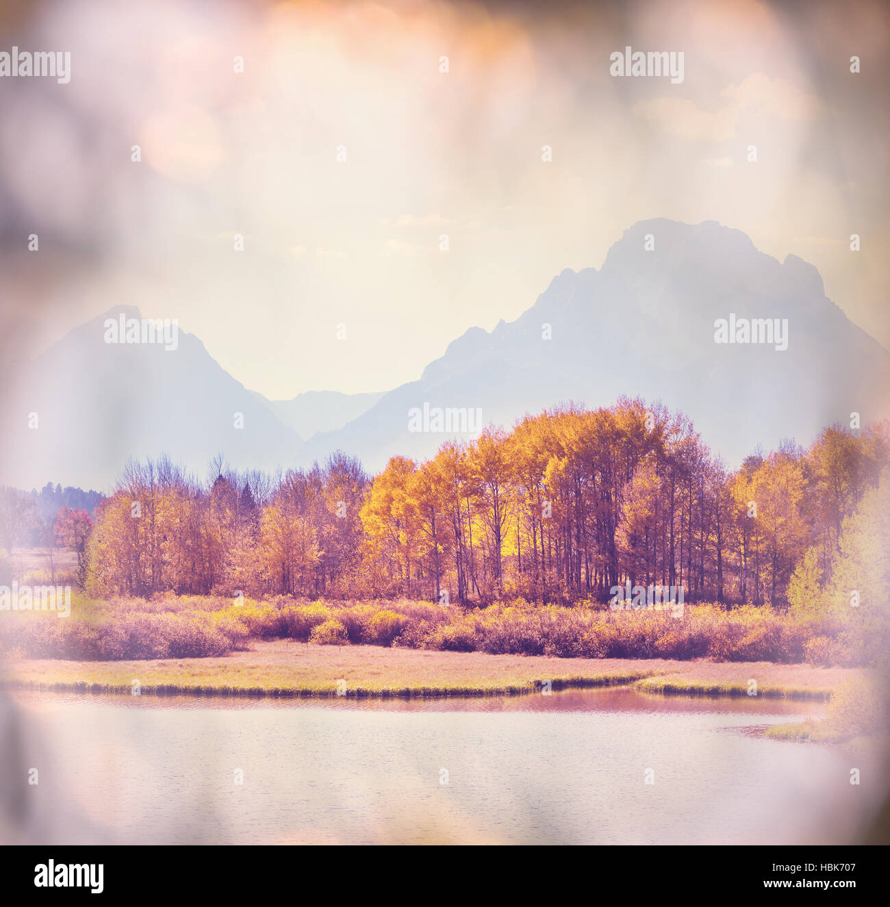 Autumn in Grand Teton Stock Photo Alamy