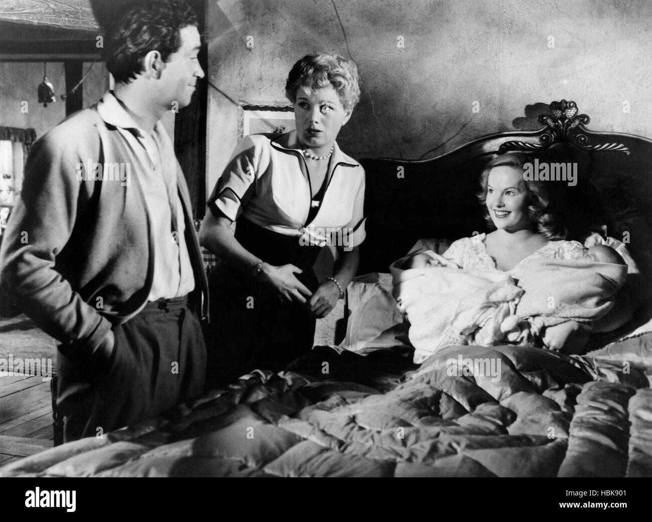 CASH ON DELIVERY, (aka TO DOROTHY A SON), from left: John Gregson, Shelley Winters, Peggy Cummins, 1954 Stock Photo