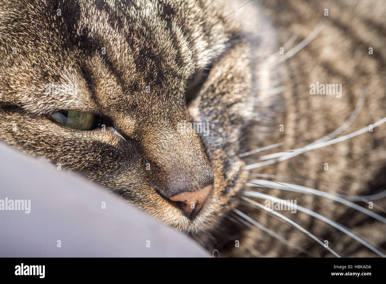 Head on pillow hires stock photography and images Alamy