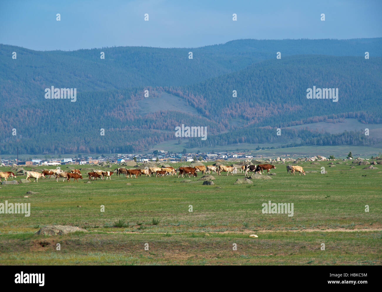 Ininsky rock garden hi-res stock photography and images - Alamy