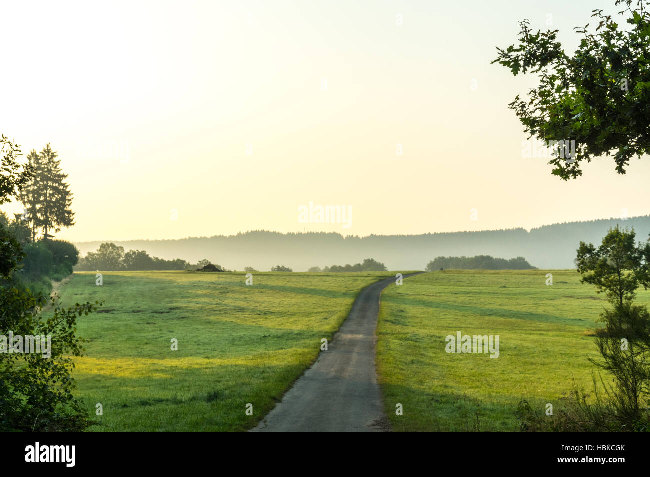 Road in the morning sun Stock Photo