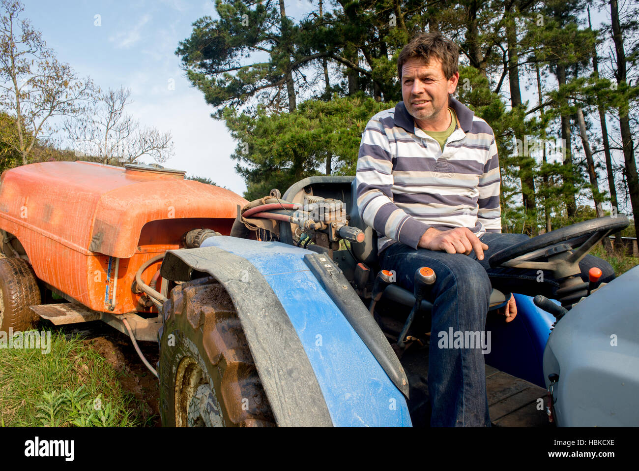 Farmer driving tractor on farm Stock Photo