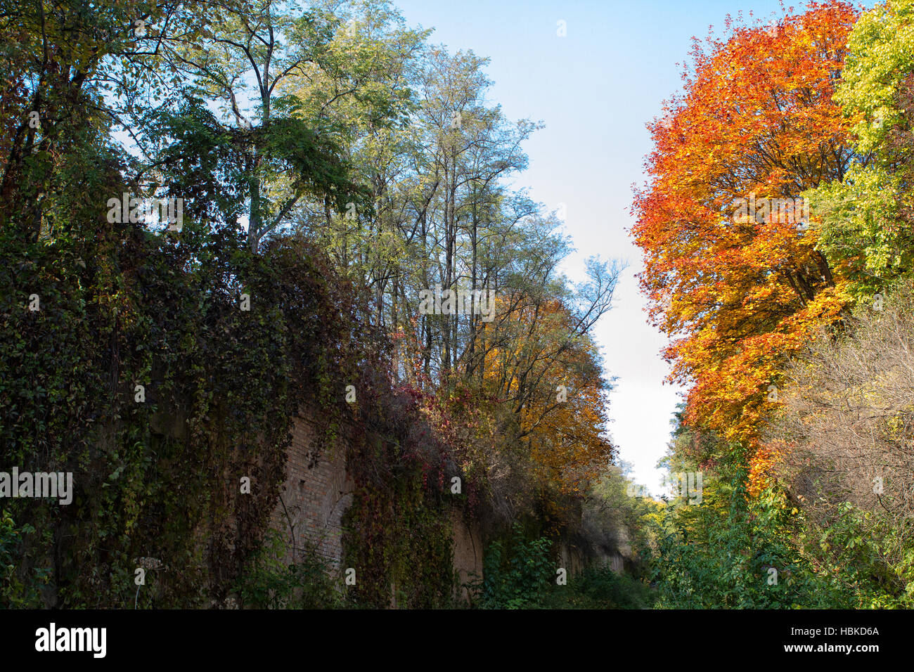 Blue sky autumn hi-res stock photography and images - Alamy