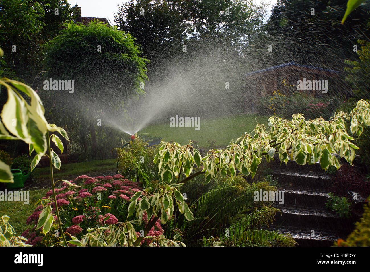 Garden Irrigation Stock Photo