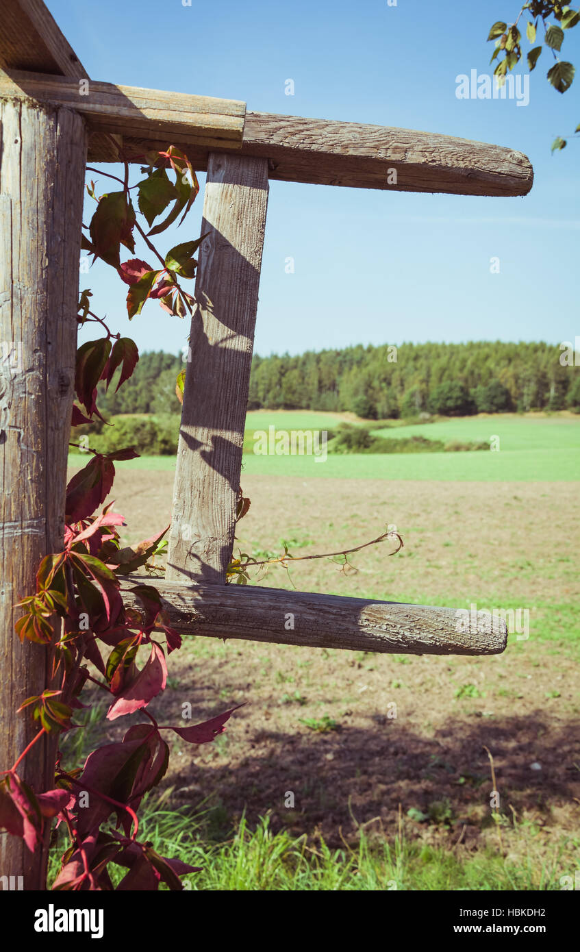 Vines leaves fence hi-res stock photography and images - Alamy