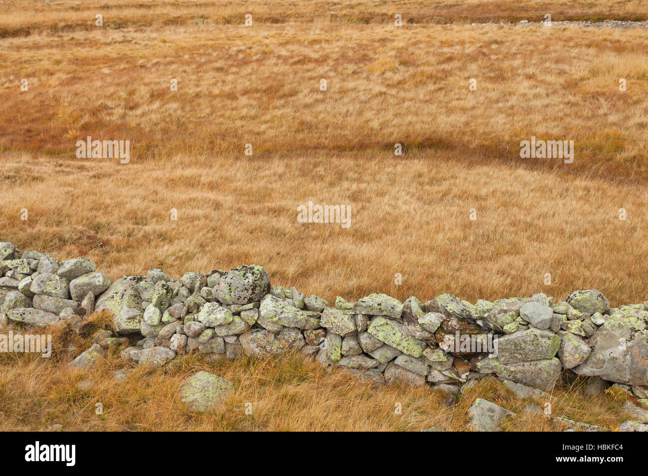 wall built up with natural stones to protect animals in the meadow Stock Photo