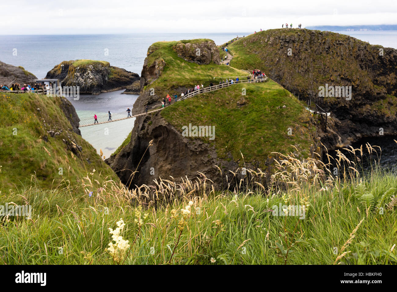 Rope bridge,Northern Ireland Stock Photo Alamy