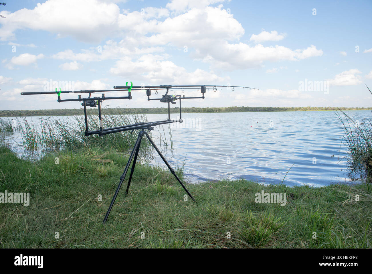 Feeder Fishing Rod on the Stand Stock Photo - Image of white, tools:  100576308
