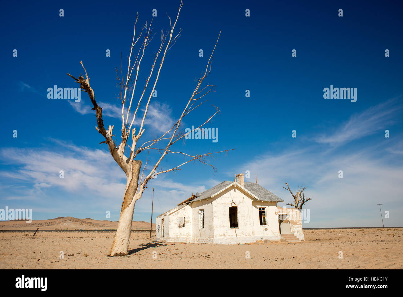 Abandoned House and Tree Stock Photo
