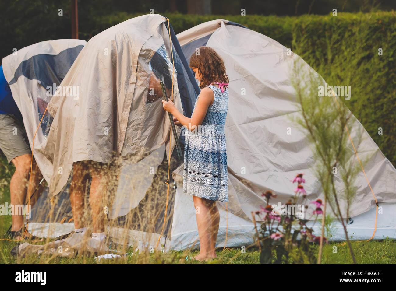 Struggling to set up a tent Stock Photo