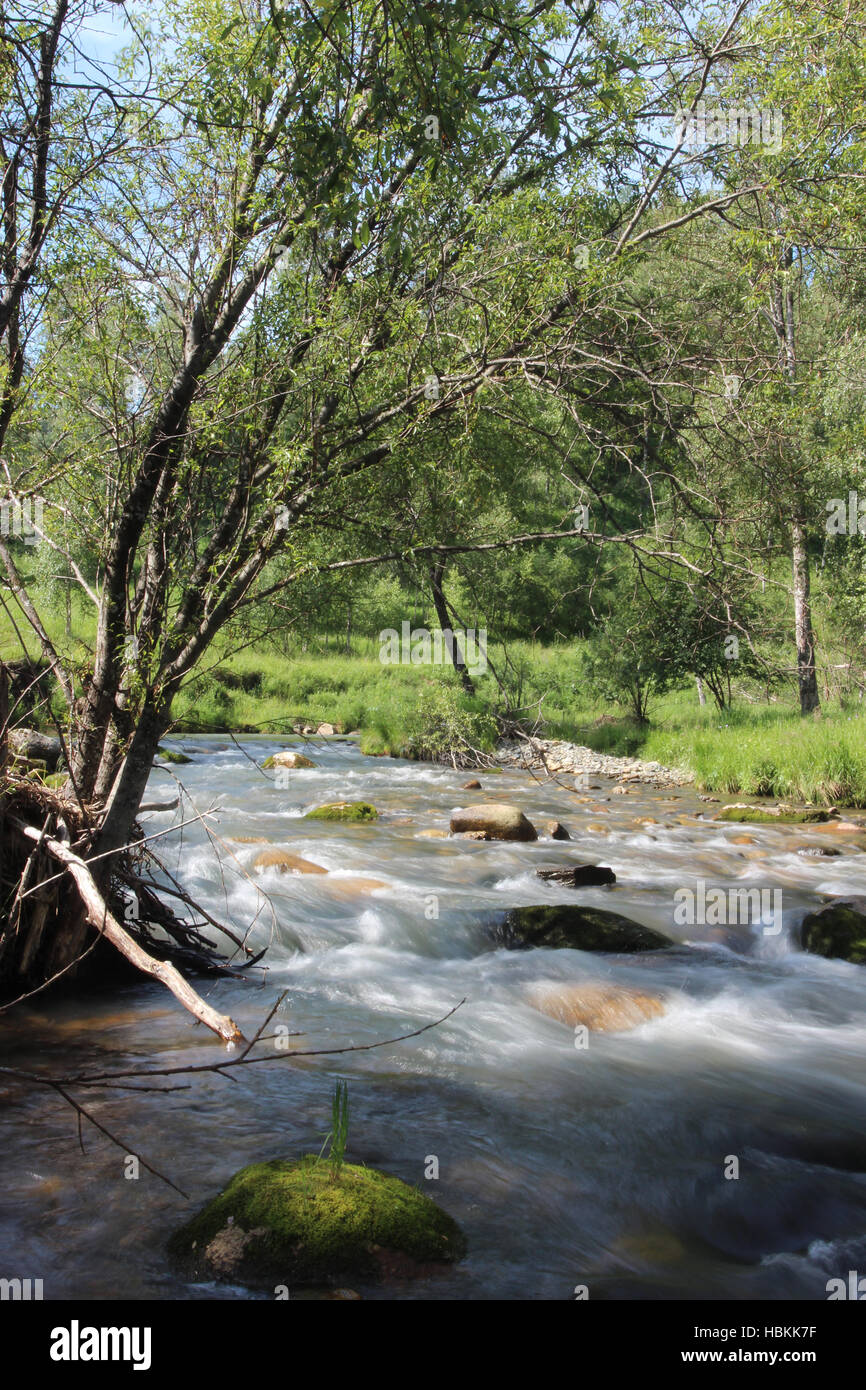 Small River in Summer Stock Photo