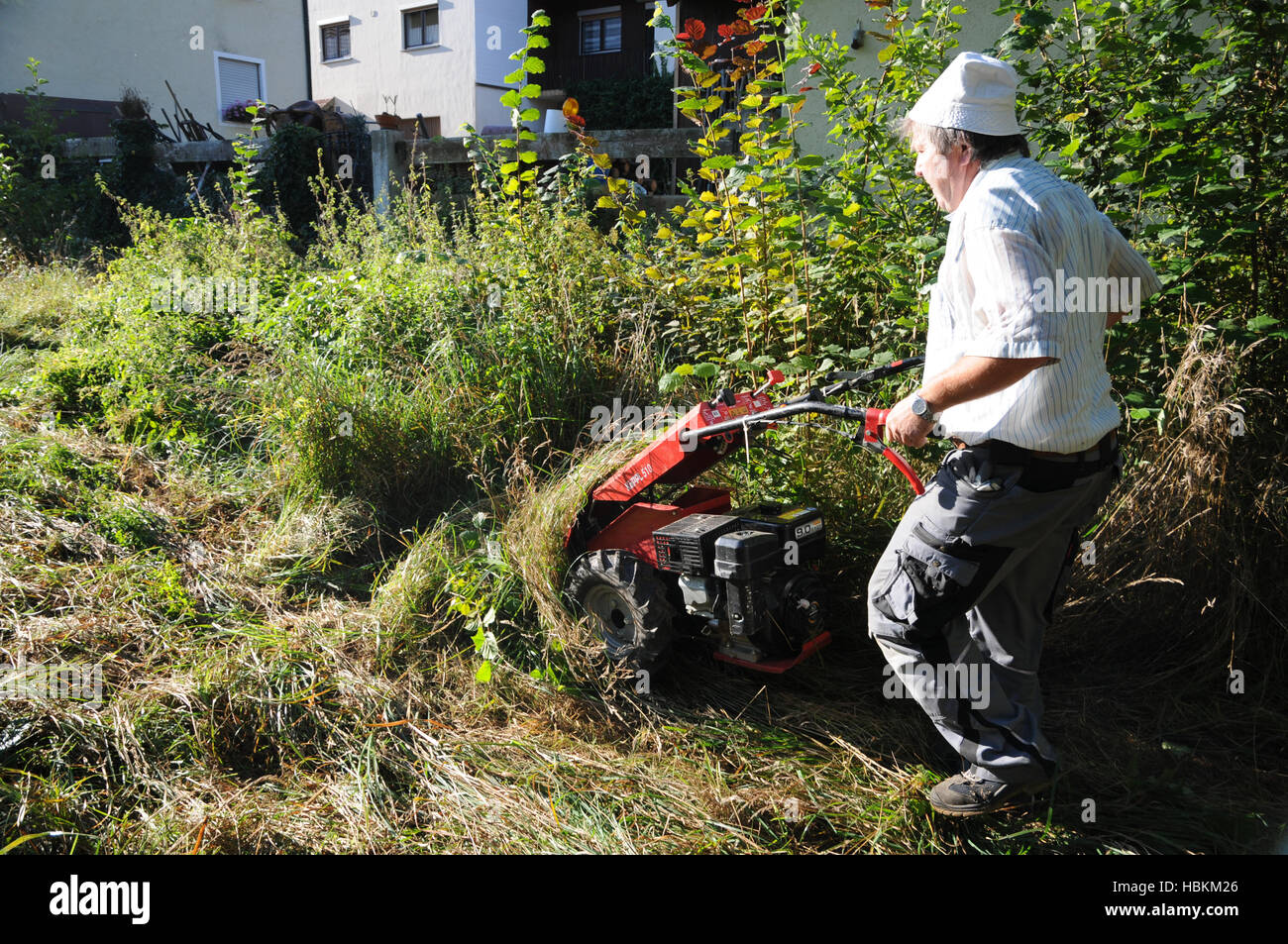 meadow mowing with sickle bar mower Stock Photo
