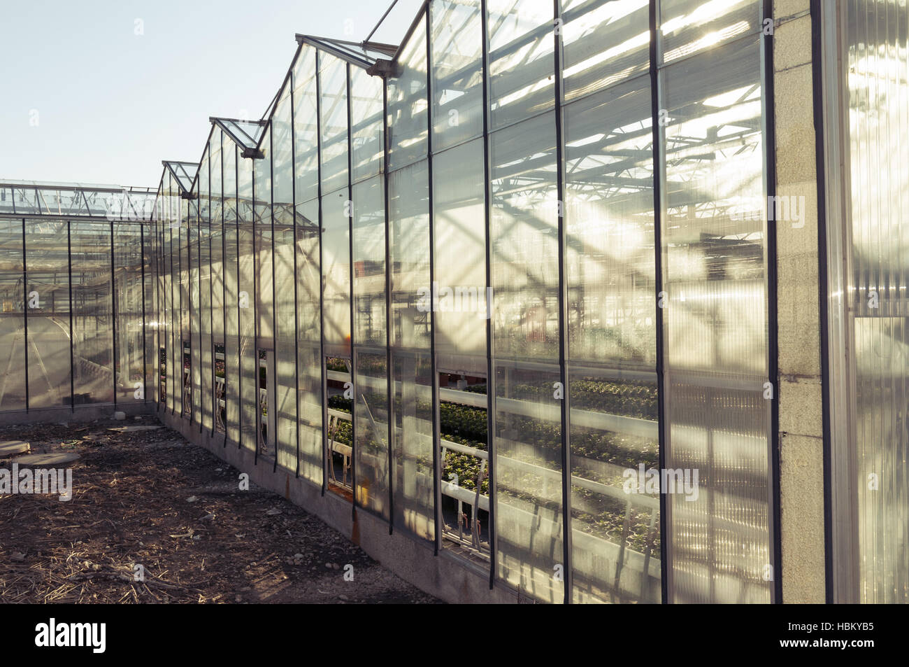 greenhouse Stock Photo Alamy