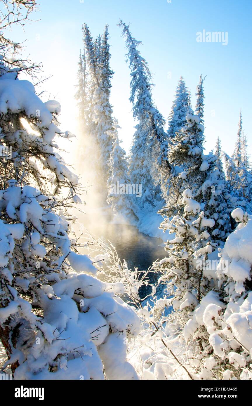 Frost covered plant sunset hi-res stock photography and images - Alamy