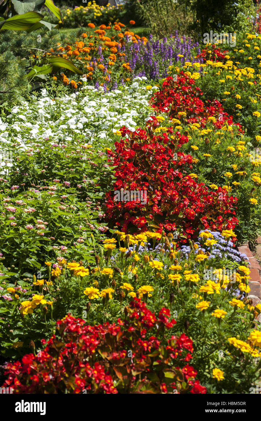 Colorful flower bed Stock Photo - Alamy