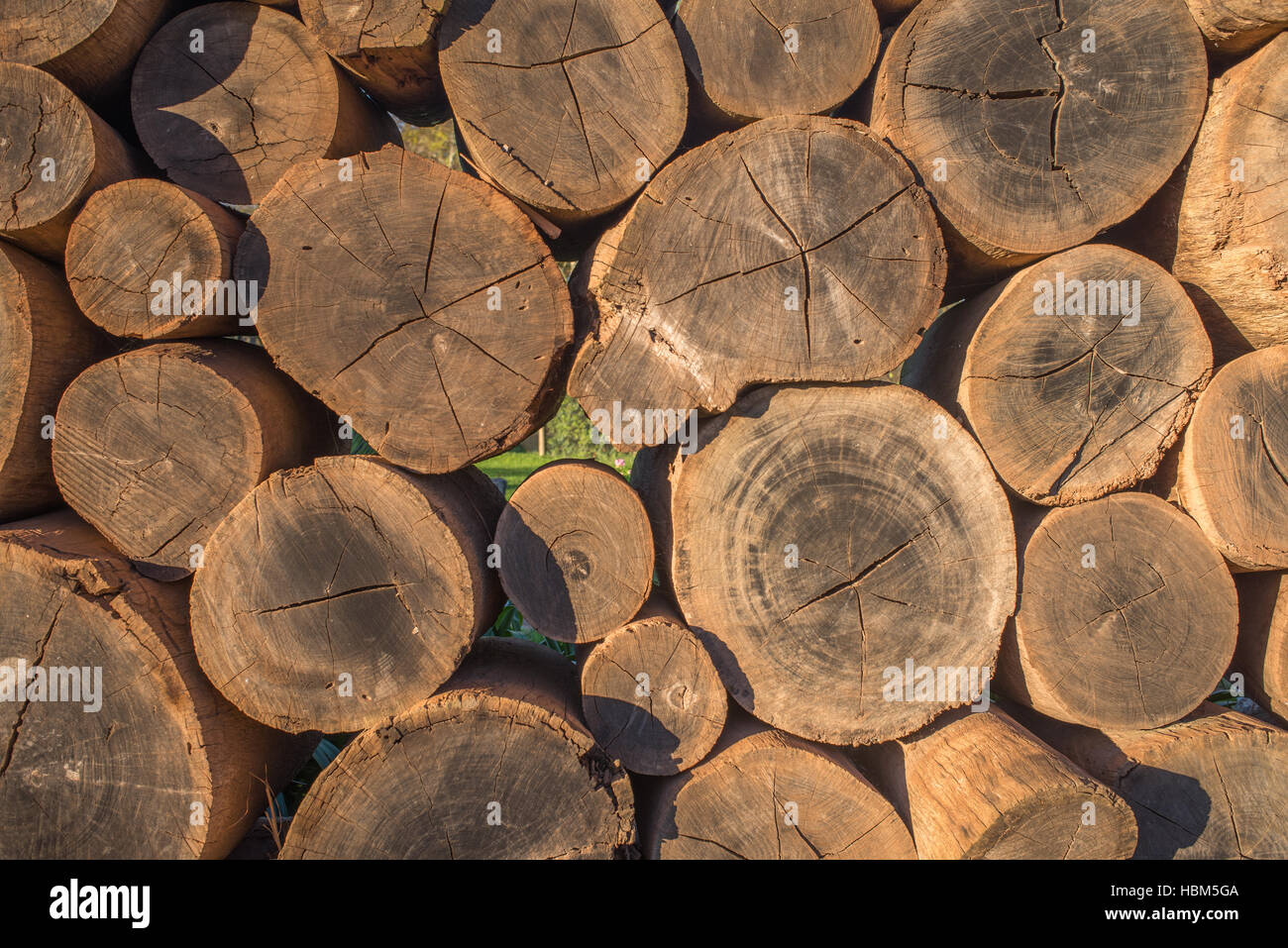 Wall of Logs Stock Photo