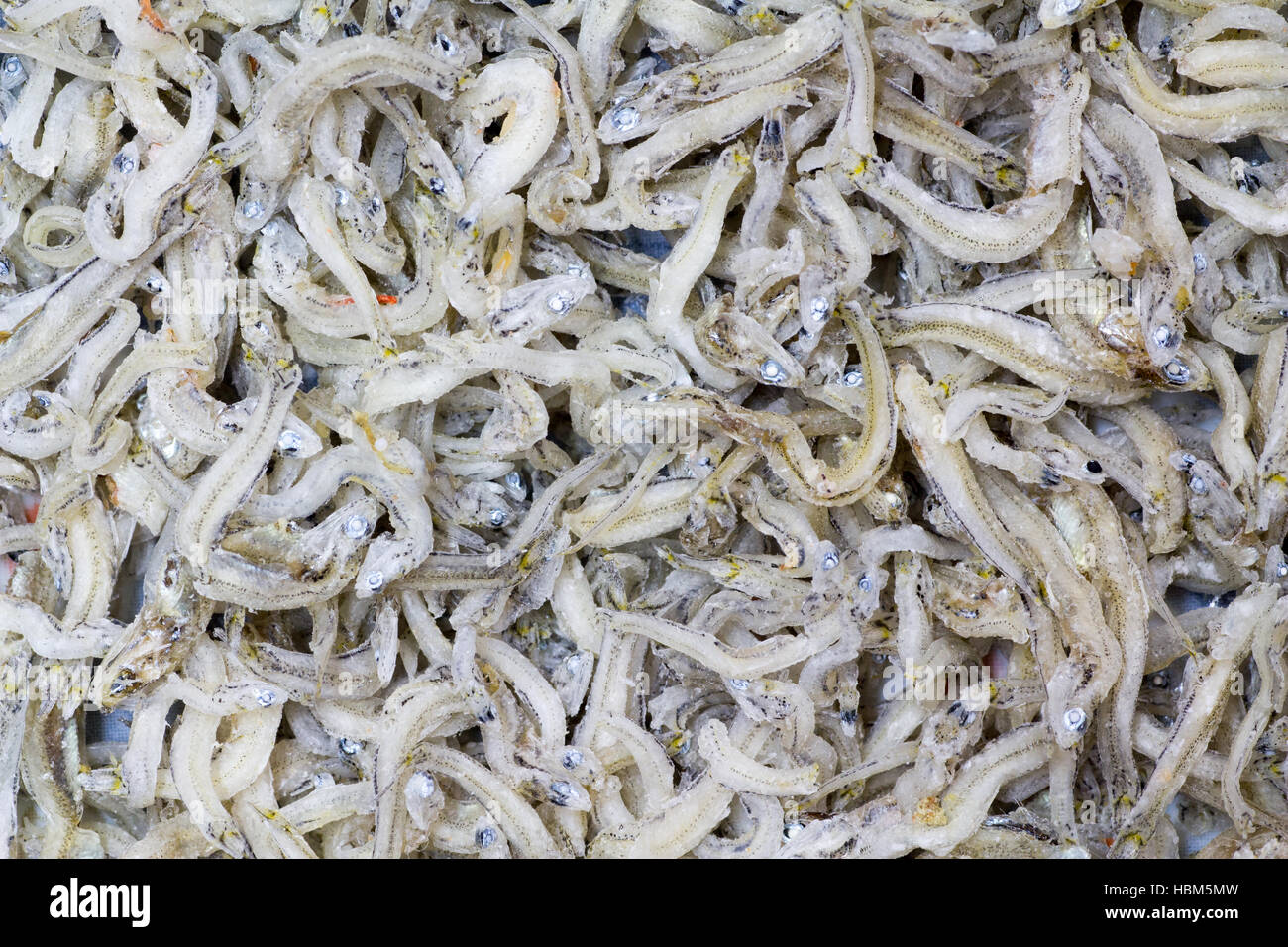 Japanese cuisine, seamless picture of half dried little fish called