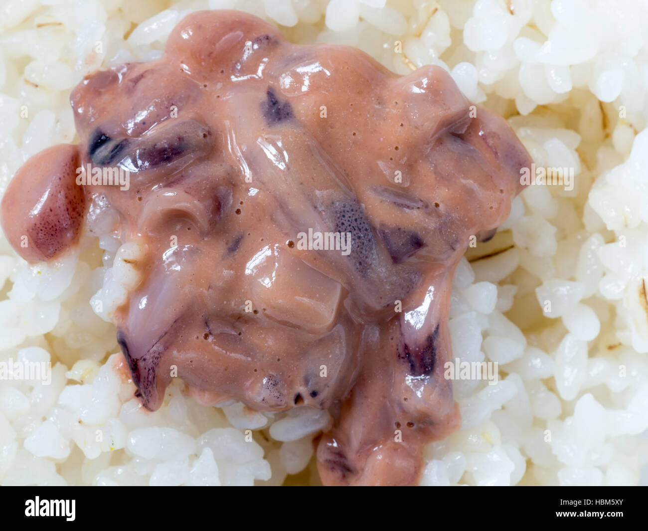Japanese cuisine, salted squid guts called Ika No Shiokara in Japanese on the rice Stock Photo