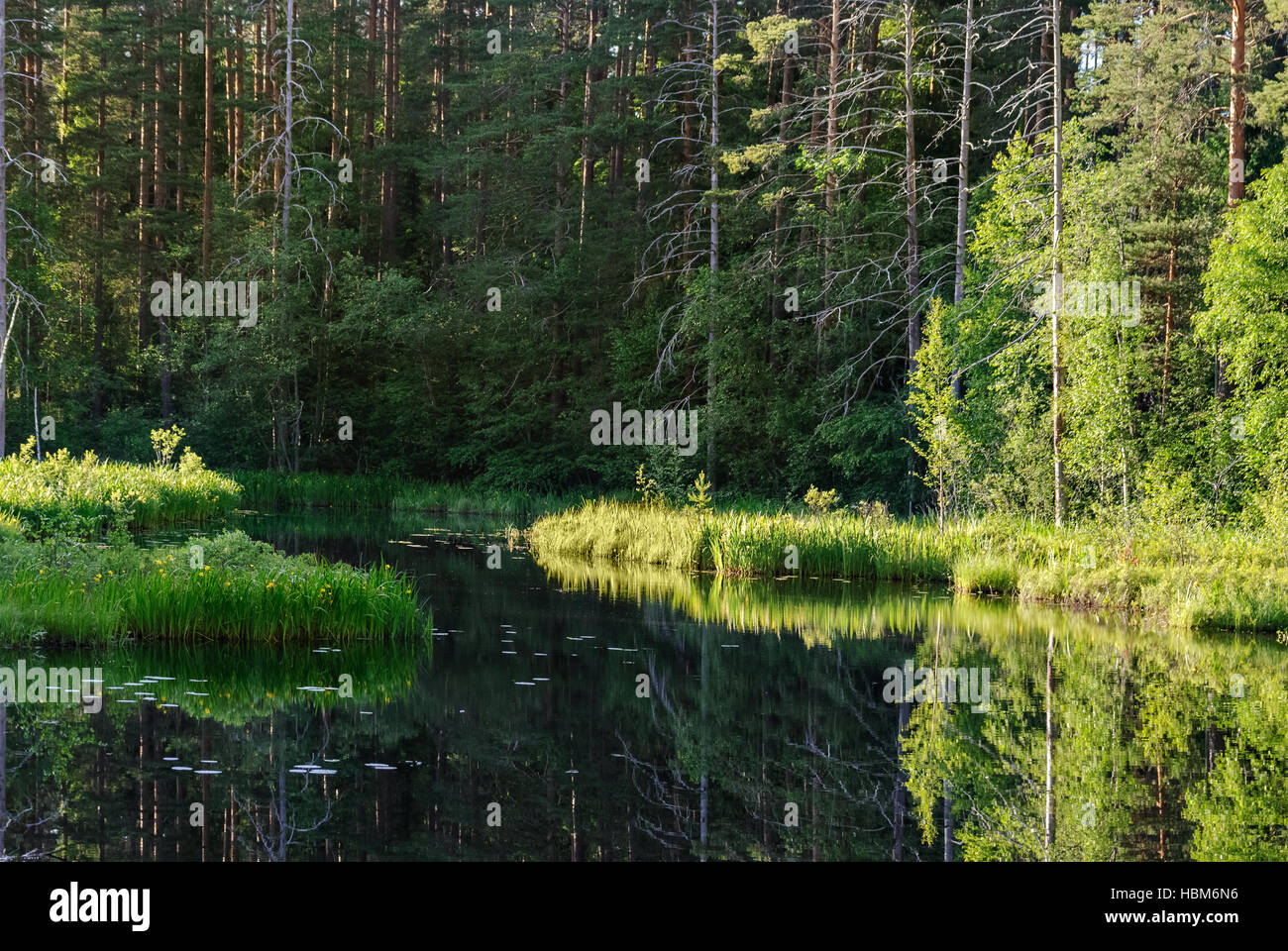Lake of the woods Stock Photo Alamy