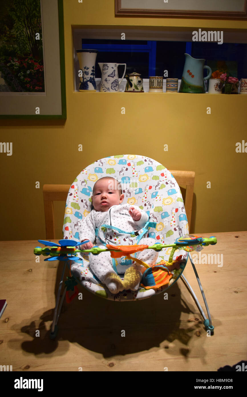 8 week old baby in bouncy chair UK Stock Photo Alamy